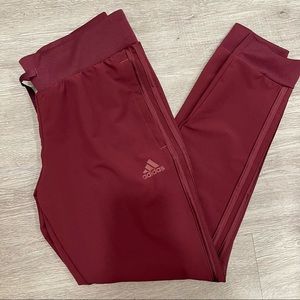 Adidas Burgundy Women's Tiro 19 Training Pants